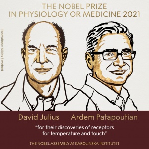 Nobel-2021.jpg