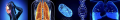 Thumbnail for version as of 22:58, 18 September 2025
