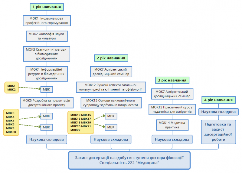 File:Схема Медицина 2025.png
