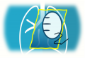 Thumbnail for version as of 18:59, 25 September 2025
